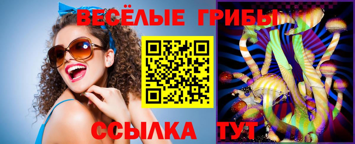 Галлюциногенные грибы мицелий Калининград