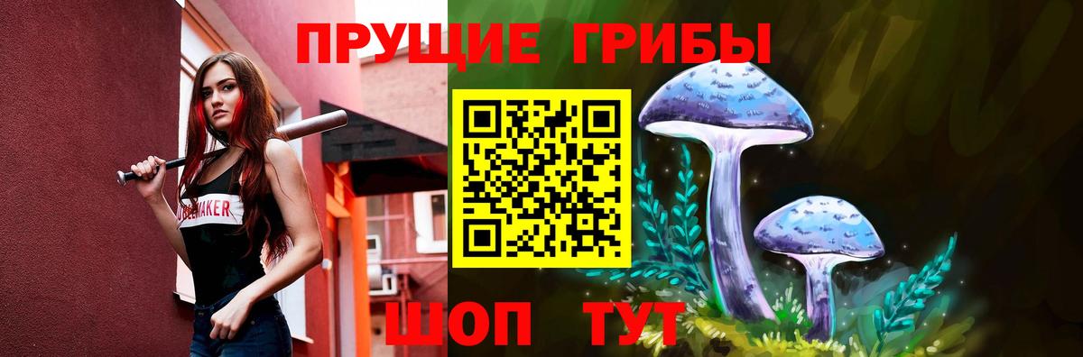 Калининград  Псилоцибиновые грибы Psilocybe  Вход с VPN  Псилоцибиновые грибы Psilocybe 