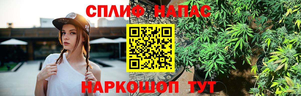 Канабис сатива Калининград